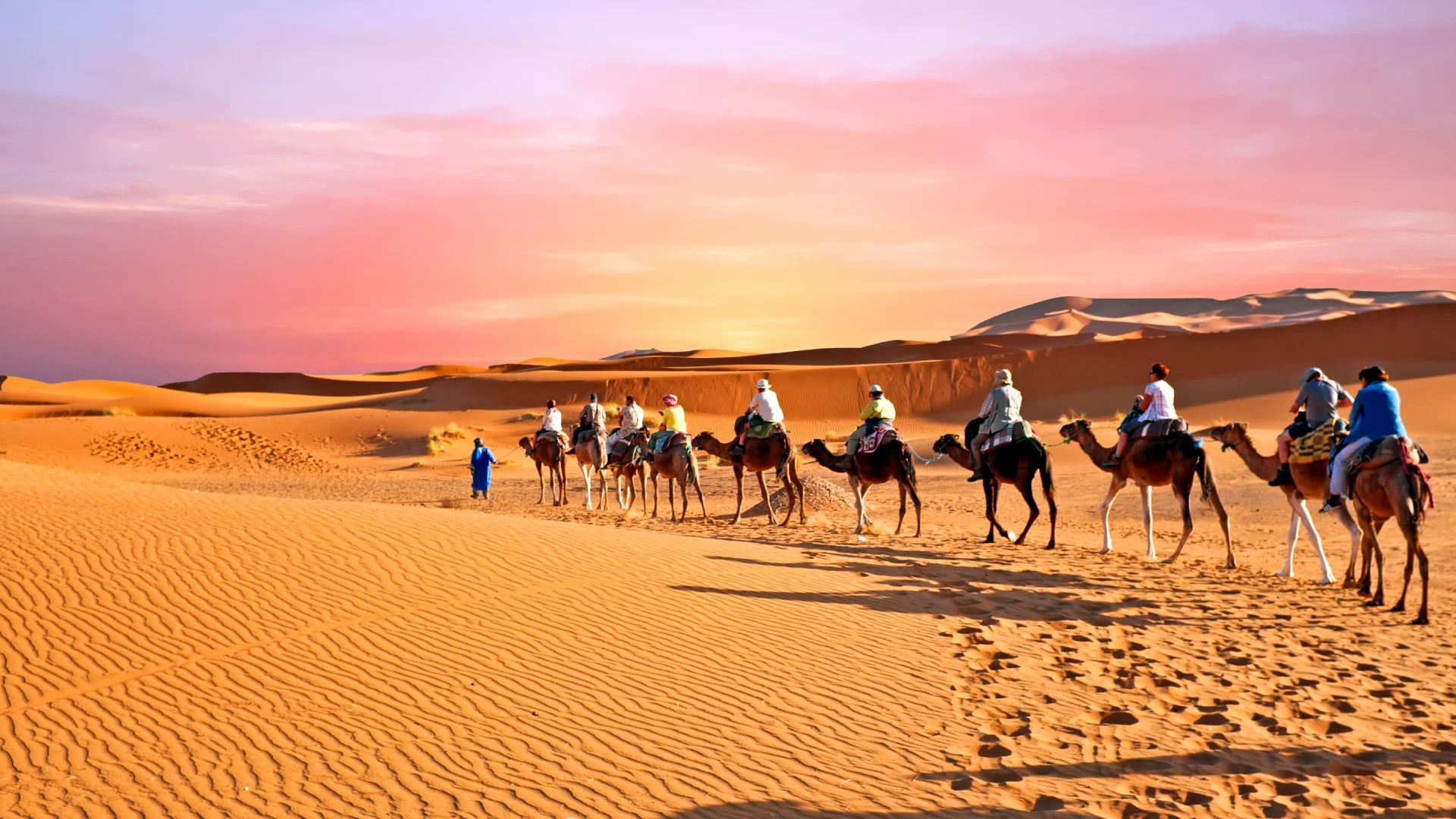 Premium Desert Safari